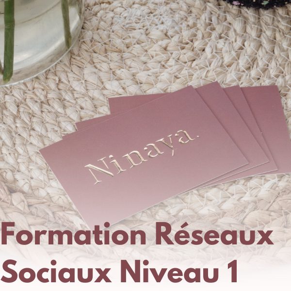 Formation Réseaux Sociaux Niveau 1 - Image produit